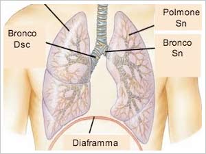 Pneumologia